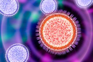Both vaccines effectively protected baby mice from the Zika virus, but the live-virus vaccine was most effective. Both vaccines effectively protected baby mice from the Zika virus, but the live-virus vaccine was most effective.