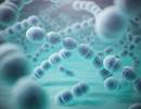 Pneumococcal Vaccination Trends in Work vs Non-Work-Related Asthma Pneumococcal Vaccination Trends in Work vs Non-Work-Related Asthma