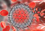 HCV treatment hinders liver fibrosis progression HCV treatment hinders liver fibrosis progression