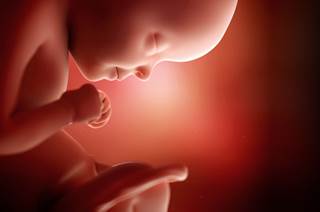 There were no significant differences between regimens in the risk for very preterm birth or very low birth weight. There were no significant differences between regimens in the risk for very preterm birth or very low birth weight.