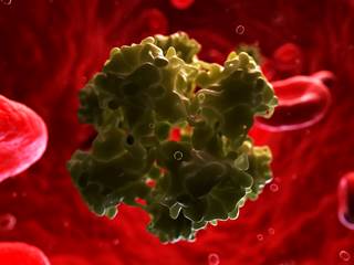 Prevalence of oncogenic oral HPV higher in men, rises with number of lifetime oral sexual partners. Prevalence of oncogenic oral HPV higher in men, rises with number of lifetime oral sexual partners.