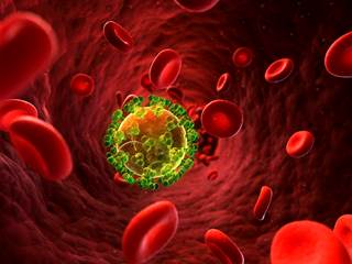 Modifying the penile microbiome could potentially reduce HIV acquisition in both men and women. Modifying the penile microbiome could potentially reduce HIV acquisition in both men and women.