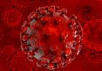 Worse Outcomes for HIV Kidney Recipients on Protease Inhibitor ART Worse Outcomes for HIV Kidney Recipients on Protease Inhibitor ART