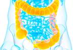 New Method Gauges Persistence of Donor Microbes After Fecal Transplant New Method Gauges Persistence of Donor Microbes After Fecal Transplant