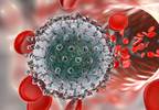 Successful Hepatitis C Treatment May Reduce Risk for Developing T2D Successful Hepatitis C Treatment May Reduce Risk for Developing T2D