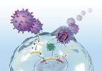 Pros and Cons of Early Antiretroviral Therapy Initiation Pros and Cons of Early Antiretroviral Therapy Initiation
