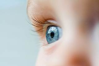 Eye abnormalities may be the only initial finding in congenital Zika virus infection. Eye abnormalities may be the only initial finding in congenital Zika virus infection.