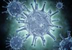 Sofosbuvir Improves Renal Safety in Patients With Chronic Hepatitis C Sofosbuvir Improves Renal Safety in Patients With Chronic Hepatitis C
