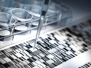 The rs34481144 risk allele may serve as a genetic marker for identifying individuals at increased risk for severe influenza infection. The rs34481144 risk allele may serve as a genetic marker for identifying individuals at increased risk for severe influenza infection.