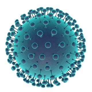 Saliva just doesn't provide a good environment for the Zika virus, the researchers said. Saliva just doesn't provide a good environment for the Zika virus, the researchers said.