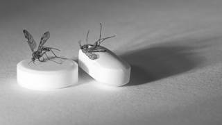 In 2015, the WHO Malaria Policy Advisory Committee recommended for the first time using mass drug administration regardless of infection status. In 2015, the WHO Malaria Policy Advisory Committee recommended for the first time using mass drug administration regardless of infection status.