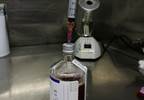WHO Passes Resolution to Mark Sepsis as a Global Health Priority WHO Passes Resolution to Mark Sepsis as a Global Health Priority