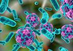 Three-Part Strategy Announced for Hepatitis A Outbreak Three-Part Strategy Announced for Hepatitis A Outbreak