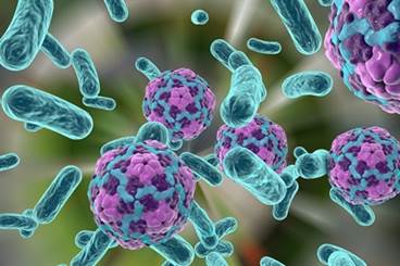 Three-Part Strategy Announced for Hepatitis A Outbreak Three-Part Strategy Announced for Hepatitis A Outbreak