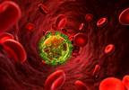 Cardiovascular Risk Management May Slow Neurocognitive Decline in HIV Cardiovascular Risk Management May Slow Neurocognitive Decline in HIV