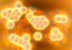 Methicillin-Susceptible <i>Staphyloccocus aureus</i> Carriers Unlikely to Acquire MRSA Methicillin-Susceptible <i>Staphyloccocus aureus</i> Carriers Unlikely to Acquire MRSA