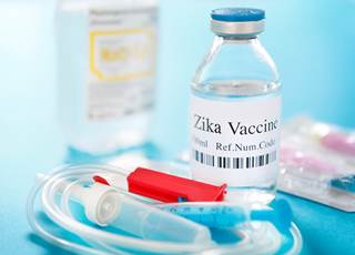 GLS-5700 is a synthetic DNA vaccine that targets the pre-membrane+envelope proteins (prME) of the Zika virus. GLS-5700 is a synthetic DNA vaccine that targets the pre-membrane+envelope proteins (prME) of the Zika virus.