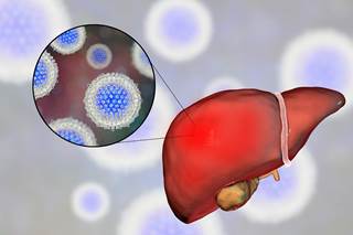 The HCV in Children section contains testing recommendations as well as counseling points for parents on transmission, prevention, monitoring, and pharmacotherapy. The HCV in Children section contains testing recommendations as well as counseling points for parents on transmission, prevention, monitoring, and pharmacotherapy.