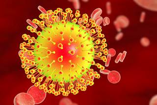 More than half of patients with Zika virus infection had chronic pain at 3 months. More than half of patients with Zika virus infection had chronic pain at 3 months.