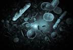 Abnormal Sodium Levels Up Bacteremia Risk in Dialysis Patients Abnormal Sodium Levels Up Bacteremia Risk in Dialysis Patients
