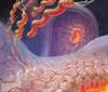 Better Detection and Treatment Needed for <i>H pylori</i> Infections in Children Better Detection and Treatment Needed for <i>H pylori</i> Infections in Children