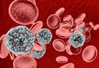 Once-Daily Raltegravir Safe, Effective for Initial HIV Treatment Once-Daily Raltegravir Safe, Effective for Initial HIV Treatment