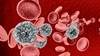 Utility of Newer HIV Testing Options Among Young Black MSM, Transgender Women Utility of Newer HIV Testing Options Among Young Black MSM, Transgender Women