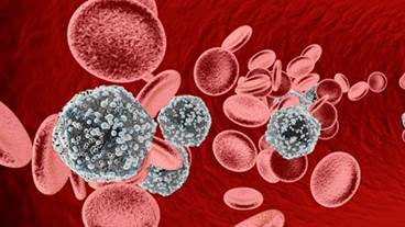 Once-Daily Raltegravir Safe, Effective for Initial HIV Treatment Once-Daily Raltegravir Safe, Effective for Initial HIV Treatment