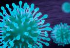 Measuring Influenza Vaccine Responses of Pregnant Women With and Without HIV Measuring Influenza Vaccine Responses of Pregnant Women With and Without HIV