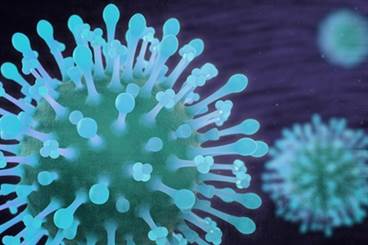 CDC Surveillance Information for the 2017-2018 Influenza Season in the United States CDC Surveillance Information for the 2017-2018 Influenza Season in the United States