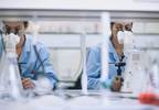 Antimicrobial Resistance Research Threatened by Budget Cuts Antimicrobial Resistance Research Threatened by Budget Cuts