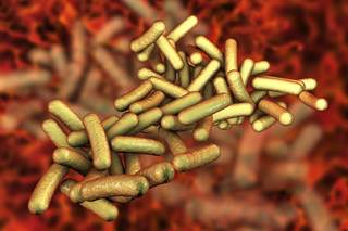 Follow-up testing is not recommended in most people for case management after resolution of diarrhea. Follow-up testing is not recommended in most people for case management after resolution of diarrhea.