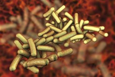 IDSA Updates Infectious Diarrhea Guidelines IDSA Updates Infectious Diarrhea Guidelines
