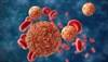 CDC Updates Guidance for Post-Zika Virus Exposure Counseling in Males CDC Updates Guidance for Post-Zika Virus Exposure Counseling in Males