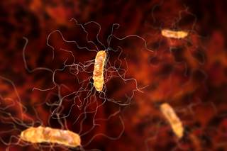 Most causative <i>C difficile</i> strains were found to be rifaximin-resistant and belong mainly to ribotype 001. Most causative <i>C difficile</i> strains were found to be rifaximin-resistant and belong mainly to ribotype 001.
