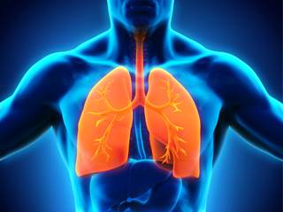Adhering to treatment guidelines for acute bronchitis could eliminate 7.8 million unnecessary prescriptions annually. Adhering to treatment guidelines for acute bronchitis could eliminate 7.8 million unnecessary prescriptions annually.