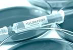 A New Generation of Challenges for the Traditional Yellow Fever Vaccine A New Generation of Challenges for the Traditional Yellow Fever Vaccine