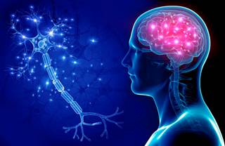 Comparing brain volumes revealed reduced cortical thickness and smaller subcortical volumes in the HIV-positive group. Comparing brain volumes revealed reduced cortical thickness and smaller subcortical volumes in the HIV-positive group.