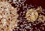 Influenza Seroconversion Risk Factors in Adults Hospitalized for Pneumonia Influenza Seroconversion Risk Factors in Adults Hospitalized for Pneumonia