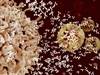 Infections Complicating the Use of Monoclonal Antibodies for Malignancy Infections Complicating the Use of Monoclonal Antibodies for Malignancy