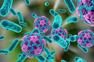 The FDA says a worker at the Bauer's Candies facility in Kentucky tested positive for hepatitis A. The FDA says a worker at the Bauer's Candies facility in Kentucky tested positive for hepatitis A.