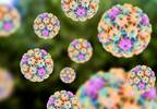 Inaccurate Parental Reporting of HPV Vaccination Linked to Multilevel Sociodemographic Factors Inaccurate Parental Reporting of HPV Vaccination Linked to Multilevel Sociodemographic Factors