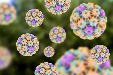 Inaccurate Parental Reporting of HPV Vaccination Linked to Multilevel Sociodemographic Factors Inaccurate Parental Reporting of HPV Vaccination Linked to Multilevel Sociodemographic Factors