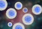 Novel Purchasing Strategy Could Cut Medicaid Costs for Hepatitis C Prescriptions Novel Purchasing Strategy Could Cut Medicaid Costs for Hepatitis C Prescriptions