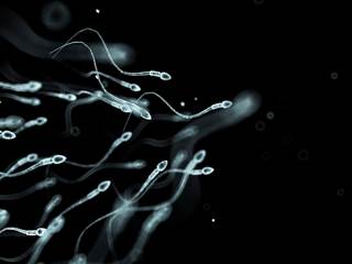 Two most common high-risk types in general population and fertility clinic attendees were HPV16 and HPV56. Two most common high-risk types in general population and fertility clinic attendees were HPV16 and HPV56.