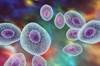 Worse Outcomes in Community-Acquired Pneumonia Linked to Higher FGF21 Levels Worse Outcomes in Community-Acquired Pneumonia Linked to Higher FGF21 Levels