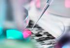 Genome Sequencing Identifies Early Ampicillin Resistance Genome Sequencing Identifies Early Ampicillin Resistance