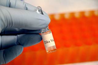 Results of early Zika virus vaccine trials are promising. Results of early Zika virus vaccine trials are promising.
