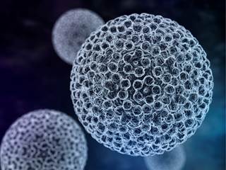Likelihood of HPV infection was not linked to folate status. Likelihood of HPV infection was not linked to folate status.