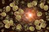 <i>Neisseria Meningitidis</i> Serogroup W Infections Increasing in Georgia <i>Neisseria Meningitidis</i> Serogroup W Infections Increasing in Georgia